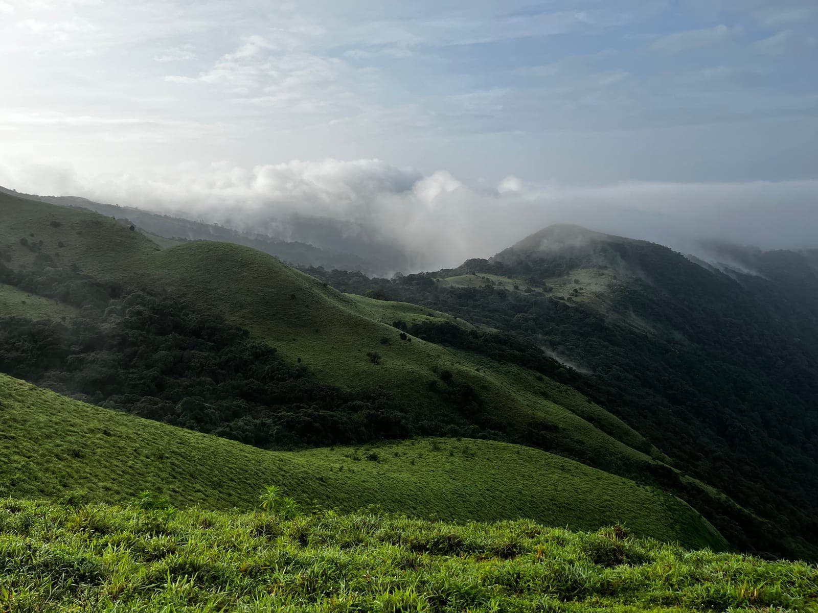 Coorg
